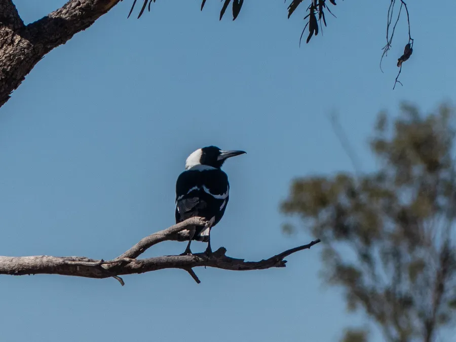 Australian shire travel