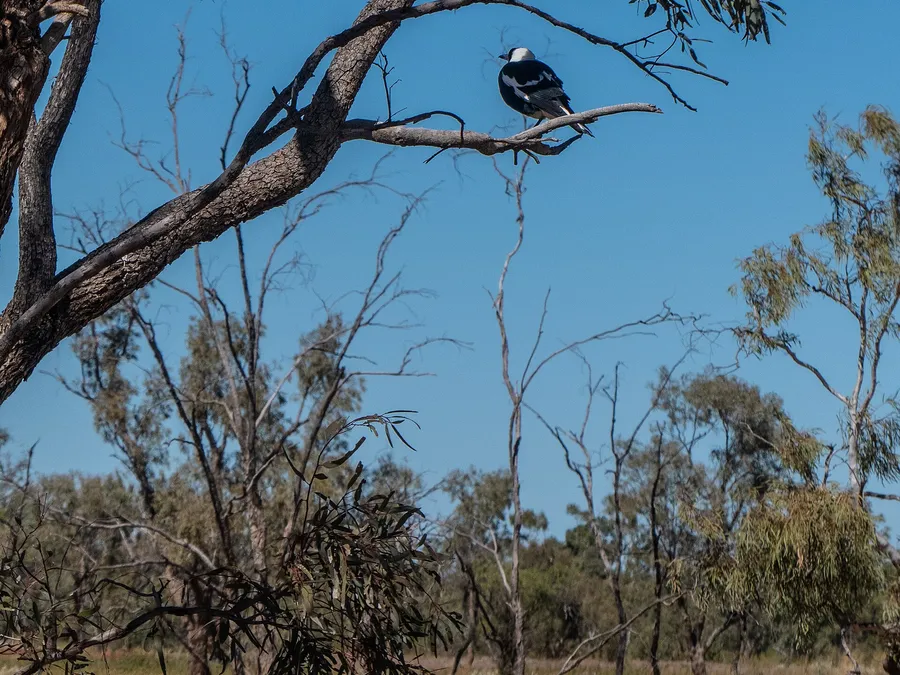 Australian shire travel